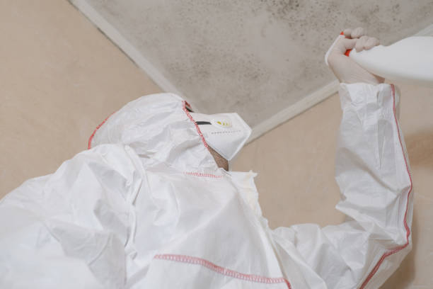 Best Commercial Mold Removal  in Crab Orchard, WV